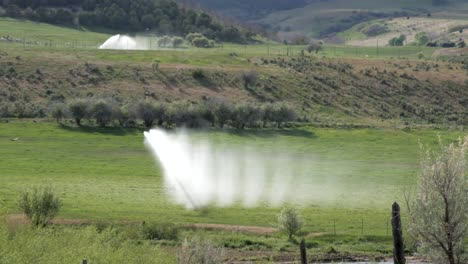 sprinklers water a picturesque farm field