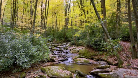 Empuje-Aéreo-Hacia-Arriba-Goshen-Creek-Con-Brillante-Follaje-De-Otoño-Y-Color-De-Hoja-De-Otoño-Cerca-De-Boone-Y-Blowing-Rock-Carolina-Del-Norte,-Carolina-Del-Norte