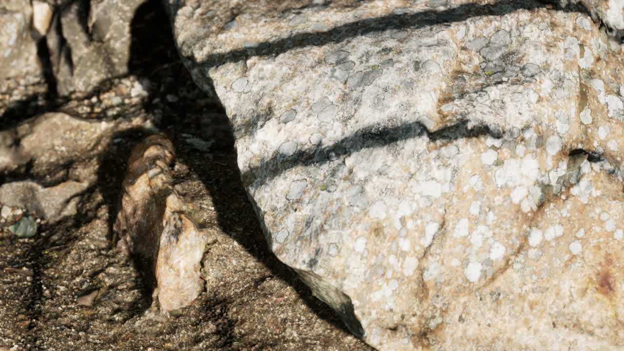 바위 돌 형성이 가까이 있습니다.
