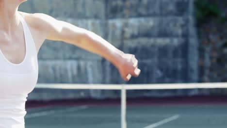 active sportswoman playing tennis