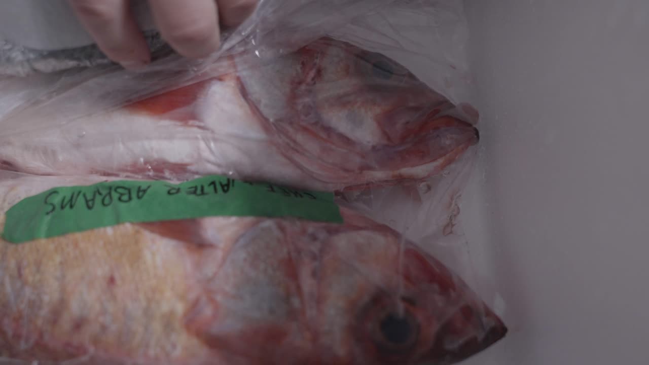 Static shot of neatly packaged fish ready for sale or preparation, captured in 120fps for high-quality detail.