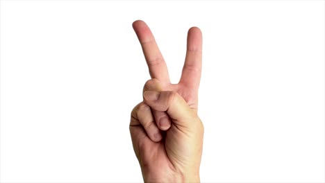 close up shot of a male hand throwing a classic peace sign, against a plain white background