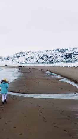 arctic winter beach scene with people