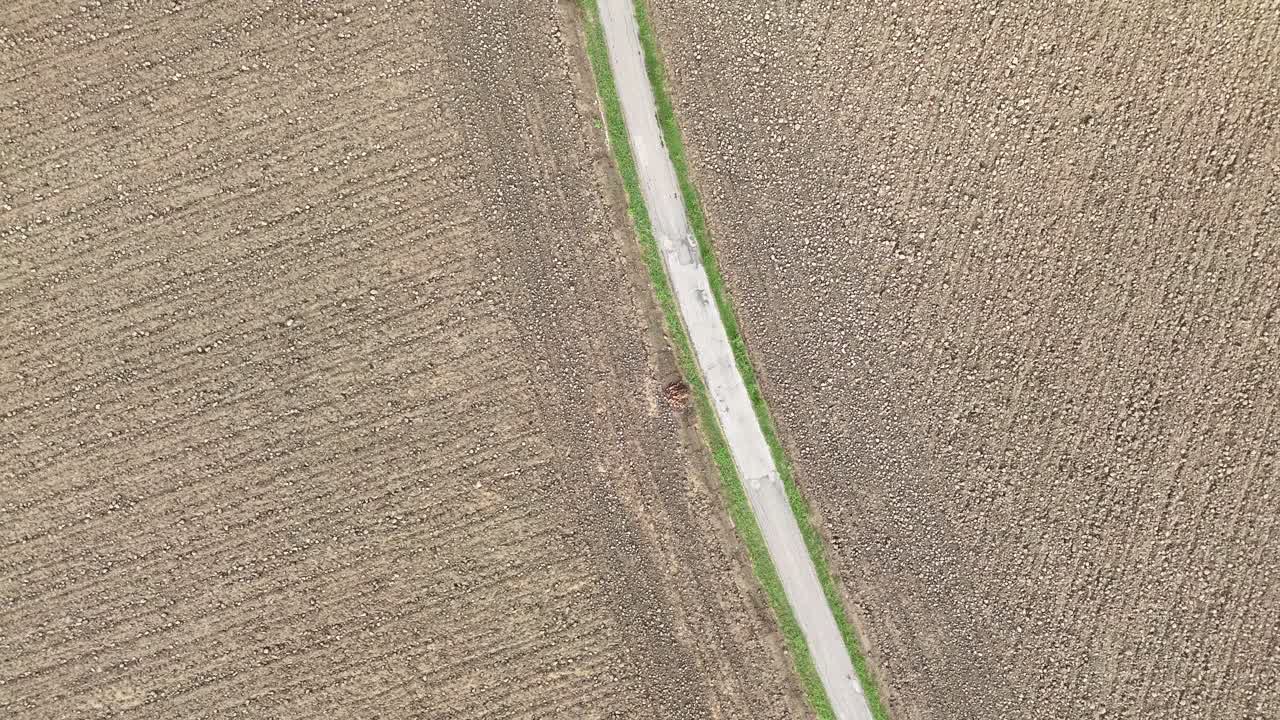 Ripresa con drone che segue una stretta strada agricola rurale che si snoda tra campi agricoli arati nella Pianura Padana, provincia di Piacenza, Italia, con alberi solitari