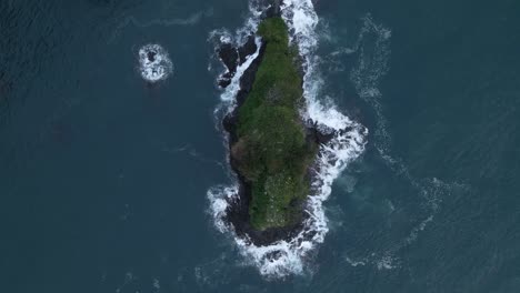 high angle view of a tiny green island in the south pacific ocean with sea birds flying underneath