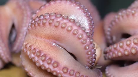 hot boiled cooked  group of octopus on wooden table. spinning shot