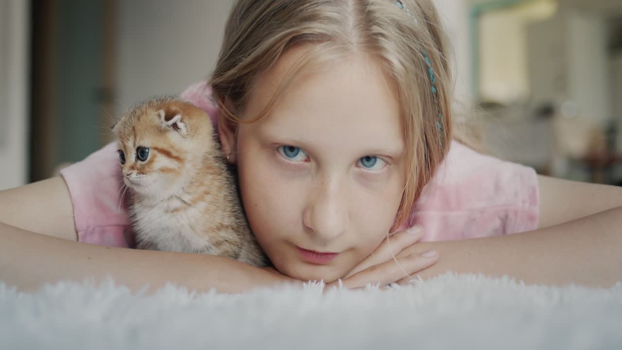 Портрет ребенка с котенком, смотрящего в камеру