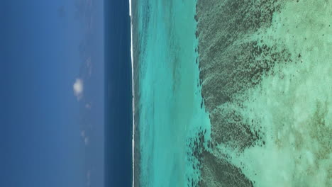 vídeo aéreo vertical sobre las olas poco profundas, océano, bourail, grande terre, nueva caledonia