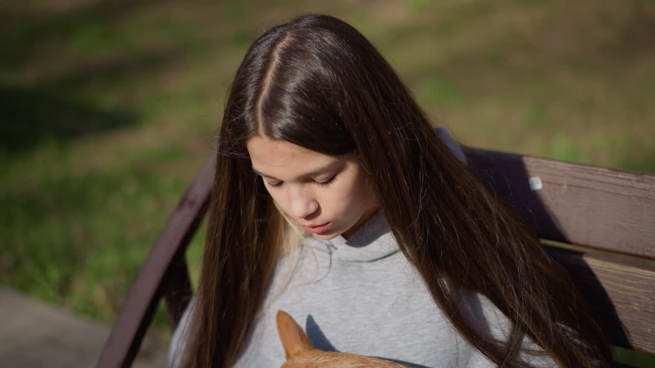사랑스러운 반려동물의 애정, 따뜻한 햇살이 소녀와 작은 강아지 사이의 진심 어린 교감을 강조하는 장면입니다. 공원 벤치에서 햇빛을 받으며 작은 강아지를 껴안고 있는 소녀의 다정한 순간을 담은 친밀한 장면이에요.