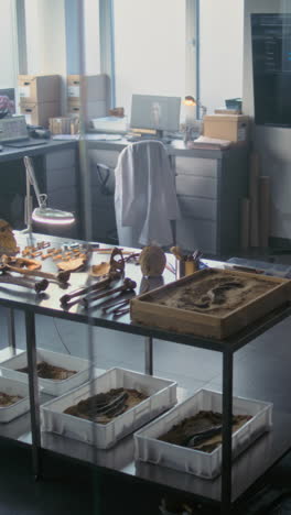 archaeology lab with human remains