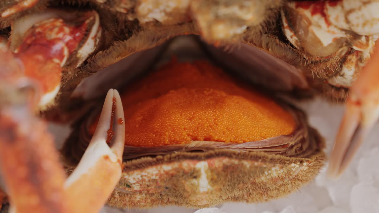 Close up of Crab Roe