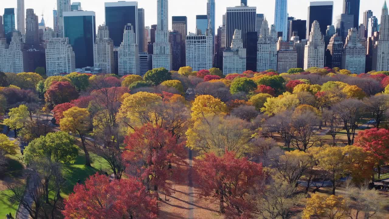 Aerial video view of a vibrant autumn park with colorful trees, set against a backdrop of towering