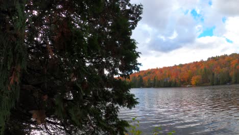 Herbstlich-Bewölkter-See-Mit-Grünen-Und-Roten-Bäumen-4k