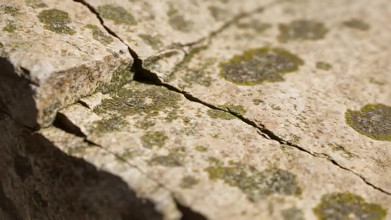 Shifting camera bringing worn rock slab into focus on sunlit rock, revealing crack, lichen and moss