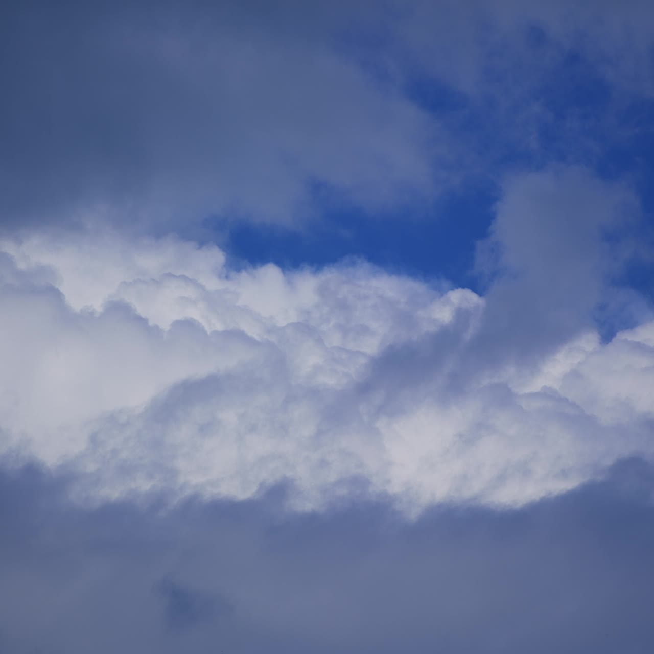 Amazing huge cumulus cloudscape in the blue sky. Black birds flying through in the horizon