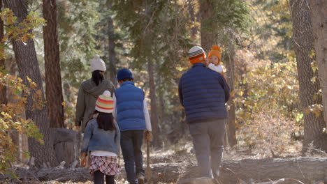 Asian-family-hiking-together-in-a-forest,-back-view