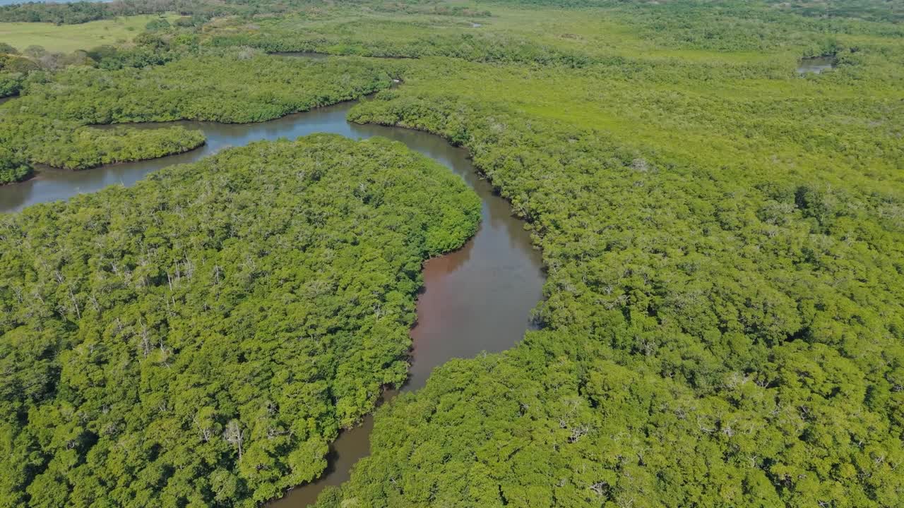 Drone zoom in over lush Tamarindo mangroves revealing winding water channels in protected wetland