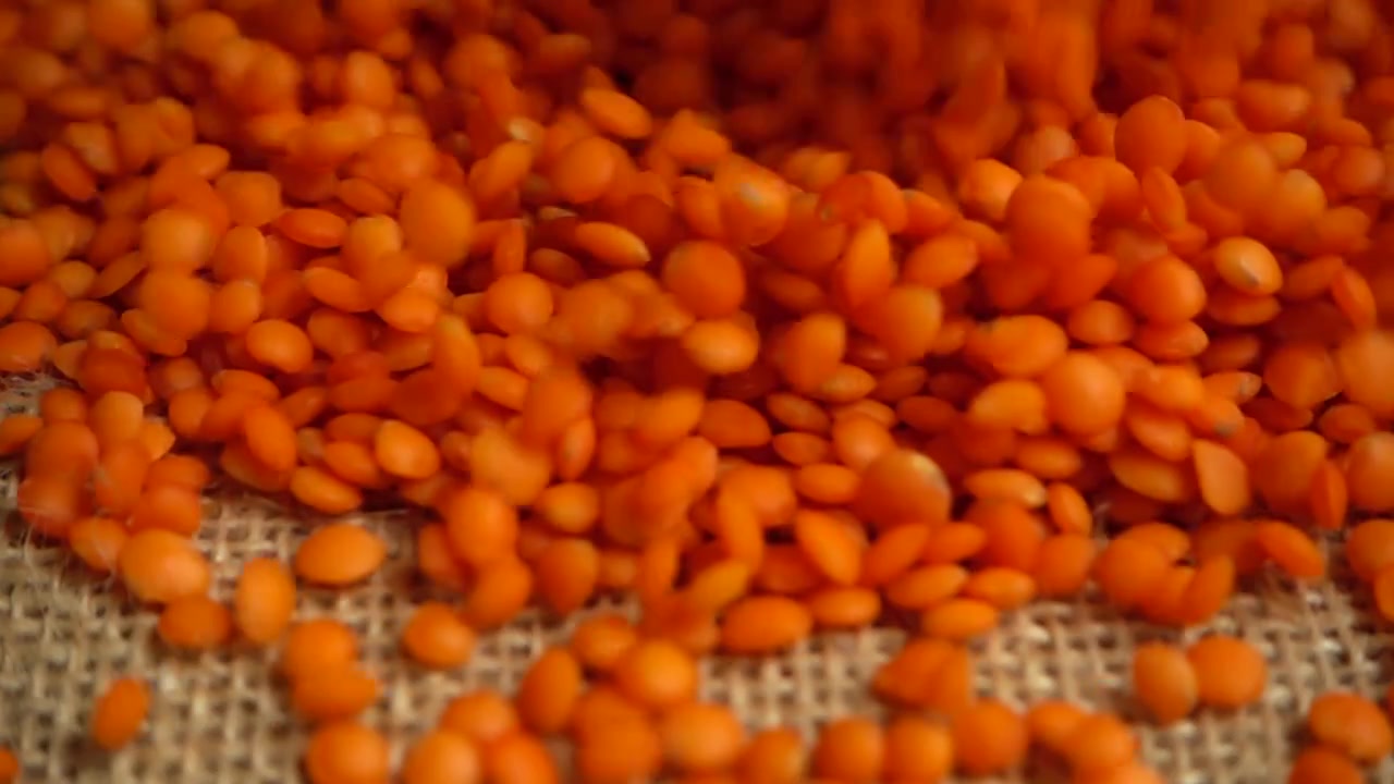 Linse faller på strie. Sakte film