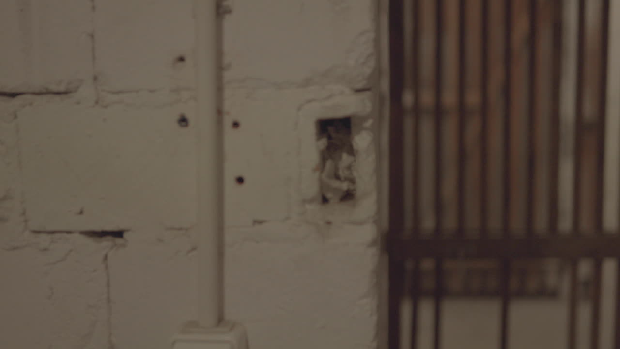 primer plano de una puerta de sótano desgastada con pintura desprendida y barras de madera