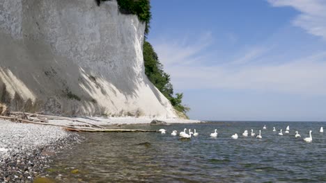 chalk cliffs on ruegen rügen in germany, mecklemburg vorpommern on a beautiful sunny day. vacation in europe.