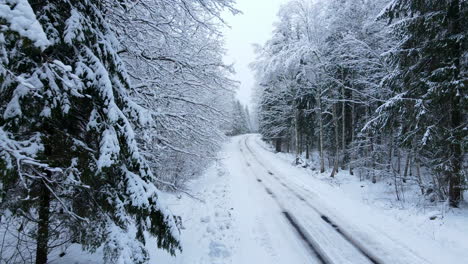 Langsam-Luft-Im-Wald-In-Der-Nähe-Von-Bäumen,-Die-Von-Schnee-Und-Straßen-Mit-Autospuren-Bedeckt-Sind,-Magische-Winterlandschaft