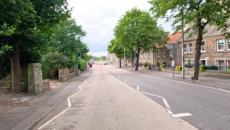 pedestrians walking along a tree-lined street