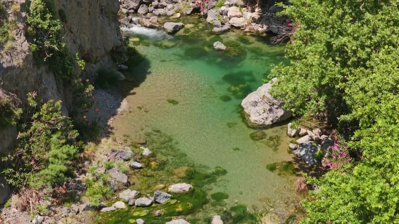 Vista aerea con drone di una pozza fluviale turchese e limpida tra massi con oleandri rosa in una gola rocciosa, Gola di Kourtaliotiko, Grecia