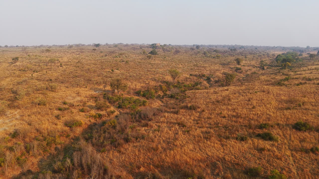 En fantastisk luftig feiing over Kruger nasjonalparks enorme, gylne savanne, som strekker seg endeløst under morgenlyset