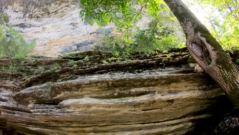 kayaking the buffalo national river scenic bluffs and reflections