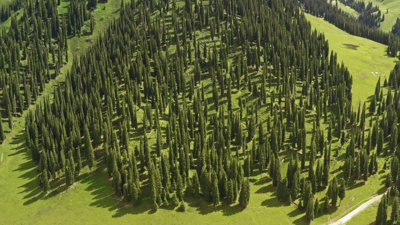 아름다운 날의 나라티 초원과 산들