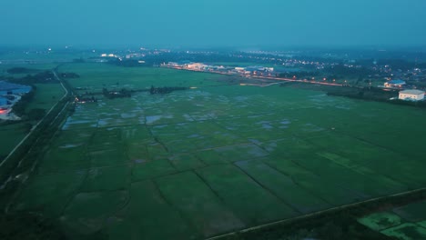 aerial: rice field at dawn with blue hour light in kota bharu, state of kelantan, malaysia, establishing drone shot