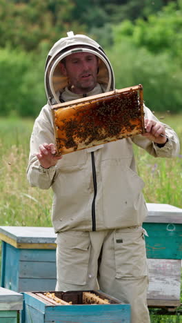 beekeeper holding beehive frame. farmer holds the frame in hands. vertical video