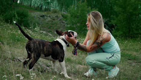 woman and her bull terrier dog playing outdoors