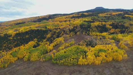 Aerial-View-of-Yellow-Aspen-and-Green-Conifer-Trees,-HIllside-Forest-in-Landscape-of-Colorado-USA