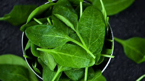 baby spinach on a rotating plate (seamless loopable)