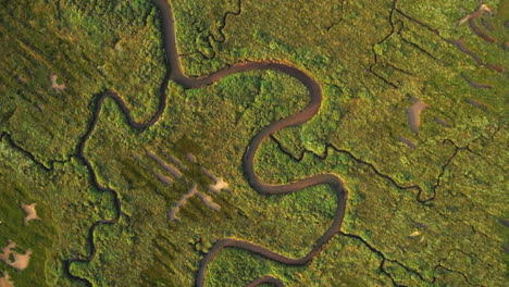 un dron abstracto de arriba hacia abajo disparó sobre una marisma salada verde con un canal sinuoso en la costa este del reino unido de north norfolk