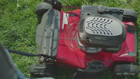 person operating a red lawn mower in a garden