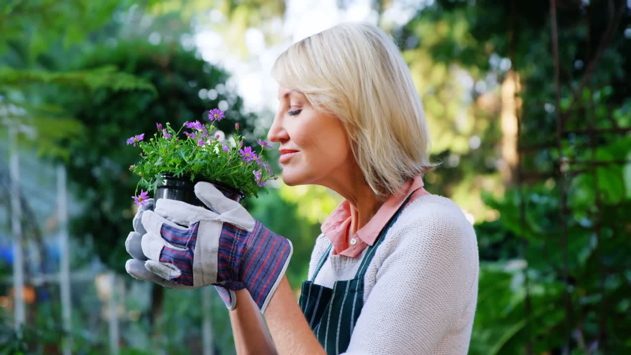 성숙 한 여자 가 새 를 맡는 비 식물
