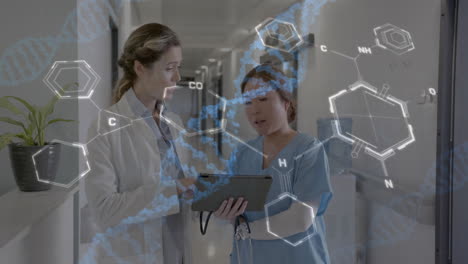 animation of data processing over diverse doctors