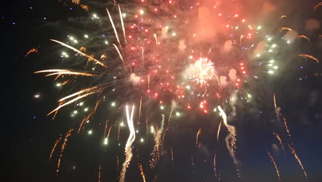 vibrant fireworks display in the night sky
