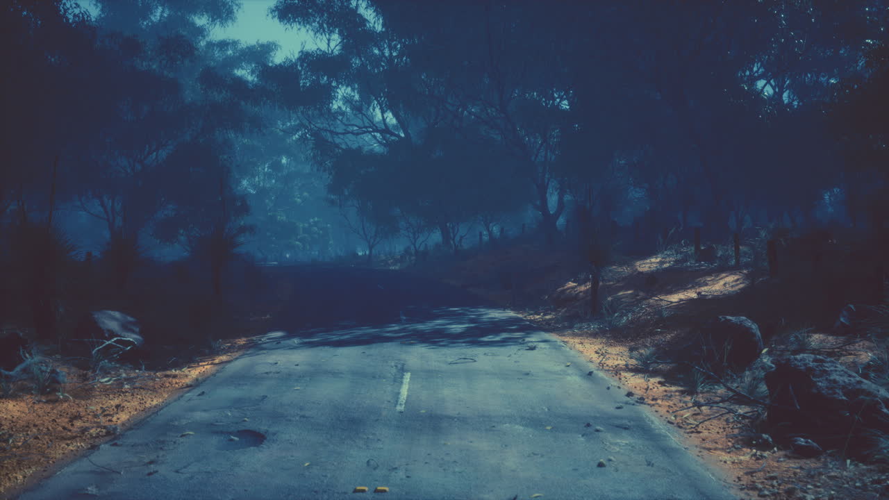 Clean rural Road with trees