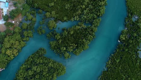 aerial view of the mangrove swamps , city of dar es salaam