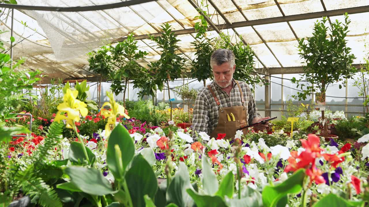 Giardiniere che lavora in una serra