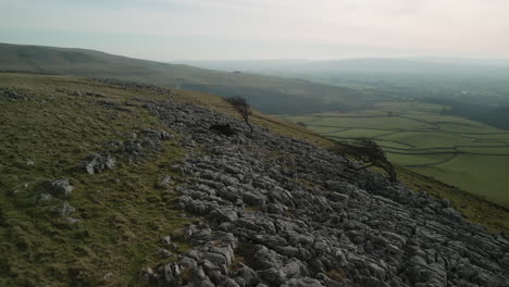 lonely tree reveal on rocky hillside with disappearing green patchwork fields in english countryside yorkshire uk