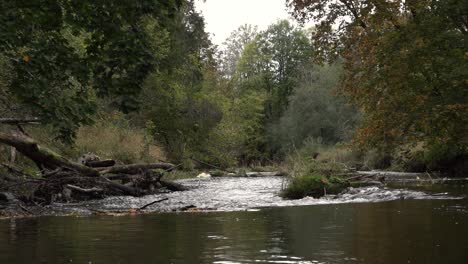the river is flooded with heavy rain