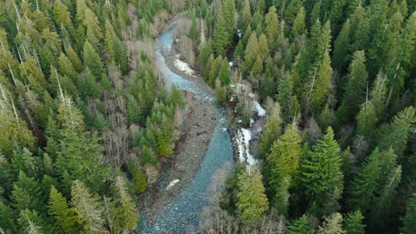 Bosque-Siempre-Verde-Con-Río-En-El-Noroeste-Del-Pacífico.