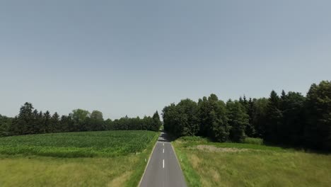 a drone flies backward over a country road, showcasing the peaceful landscape with lush green fields and towering trees