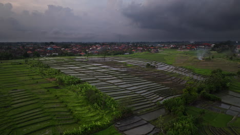 Vuelo-De-Drones-Sobre-Arrozales-Inundados-En-Bali-Con-Garcetas-Volando