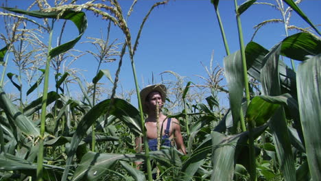 a man wearing overalls and a straw hat stands in a corn field