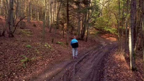joven caminando por un bosque en un paisaje otoñal